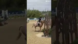 This was such a good jumpppp! #horse #equestrian #bestponyever #teddy #hunterjumper #horseshow