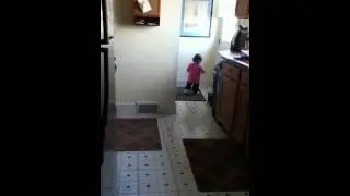 Rosie strolling around.