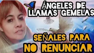 ÁNGELES DE LLAMAS GEMELAS: Señales para NO RENUNCIAR 🙏✨