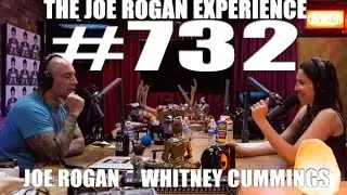 Joe Rogan Experience #732 - Whitney Cummings