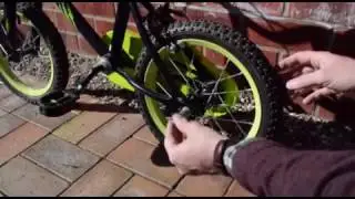 Balance Buddy in Action