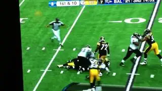 Haloti Ngata destroys Steelers running back