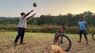 &ldquo;आज खेळायला मजा आली😍 Buddy the Labrador #buddy #yt 