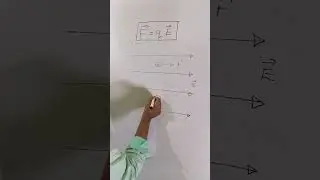 Direction of Force on charge in Electric Field
