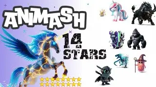 HOKI BANGET DAPAT 14 BINTANG ⭐ | ANIMASH