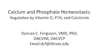 Calcium Physiology: Regulation by Vitamin D, PTH and Calcitonin