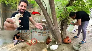 Dehati Mamu Mini Zoo Me Ab Pets Bachay De Rahe Hain 😍❤️