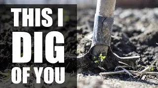 This I Dig of You: Backing Track