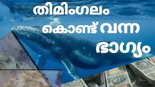 #Ambergrisvomit# തിമിംഗലംശർദി കോടി കണക്കിന് വിലയുള്ള ആംബർഗ്രീസ് സാധരണ സ്ത്രീക്ക് കിട്ടിയപ്പോൾ