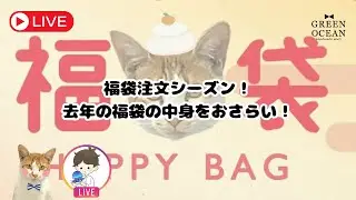 福袋注文した？過去の福袋のおさらいと新作情報！　#ハンドメイド #隠れ工房greenocean #tiktok #resinart #レジン