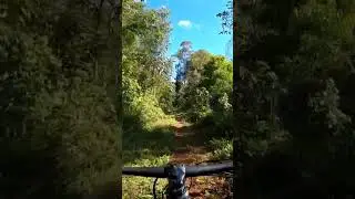 mtb ride scott scale. #scottmtb #mountainbike #gopro #mountainbiking #mtbrider #scottscale #mtb