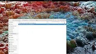 Linux & 3D : installer Octane Prime pour  Blender sous Fedora 32