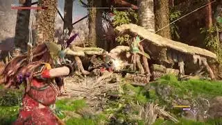 Horizon Forbidden West - Rebel Outposts / The High Turning