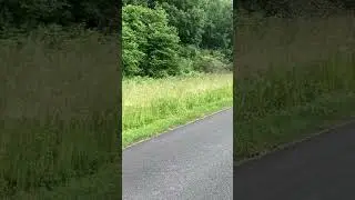 Alfa Rom&eacute;o 156 2.0 Twin spark Exhaust sound (final muffler delete) Part 2