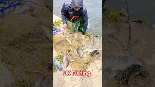 fly fishing UK rivers, freshwater fishing UK, river fishing for beginners UK