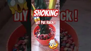 No Soil? No Problem! Palm Tree Pot Secret Revealed! Shocking DIY Discovery #diy #diyshorts #craft