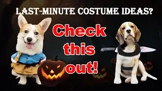 🎃Last-Minute Amazon Halloween Costume Idea: Impress Your Pet 👻 #corgiart #halloween #amazon