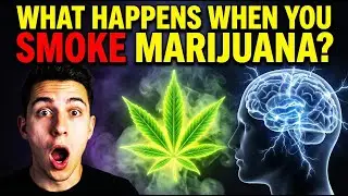 What Really Happens When You Smoke Marijuana &mdash; The Truth Your Body Can&rsquo;t Hide