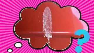 Can Bird Poop Damage Cars?