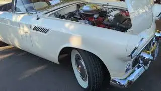 Прекрасный Thunderbird 1956 года.