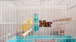 کنری واتر مست برای درخواست تماس بگیرید 