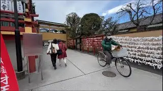 UENO PARK IN FEBRUARY 2025 #japan #4k #walkjapan