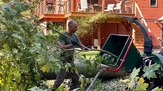 Woodland Mills WC68 CHIPPING Maple Branches with Ease!