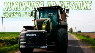 🌽Kukurydza Na Kiszonkę 🌽5x Claas ☆ Veenhuis
