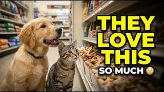 This Local Pet Shop Does Treats Differently