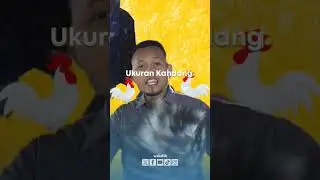 Sahabat Wakaf, Alhamdulillah, salah satu aset Wakaf DT di Cijanggel makmur dan produktif.