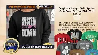 Original Chicago 2025 System Of A Down Soldier Field Tour T-Shirt