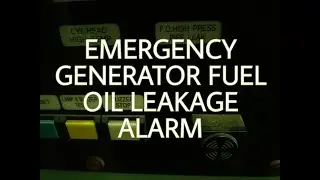 EMERGENCY GENERATOR F O  LEAK ALARM SWITCH TESTING