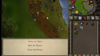 Locopk littlem scams