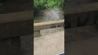 The Creek Is Up: Much Needed Rain #short #creek #needed #rain #grumpyacresfarm