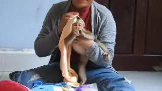 Monkey Ploy Family Today Clean Body and Milk After Bathing