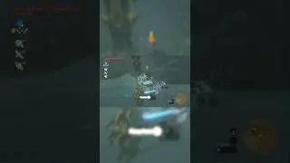 Lynel Denies My Flurry Rush Because Why Not | #botw #zelda #zeldabotw #gaming