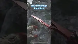 New Insane Camping Spot for Northridge | Arena Breakout Infinite