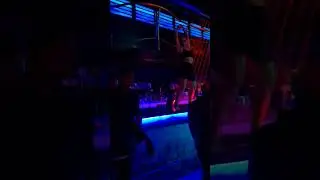 The Pink Elephant Pub #goa #trendingshorts #viral #youtubeshorts