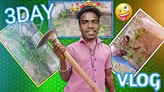 3 Day New vlog New place clean in farm customise/@LEOTUDU-T8J 
