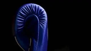 Genuine Leather Professional Boxing Gloves || Pearl Range || Tssb Sports