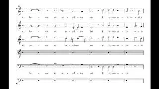 Pope Marcellus Mass: Credo (with score)