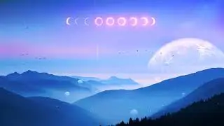 Seb Gardner - Solace
