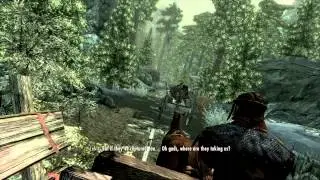Skyrim opening cart glitches