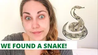 WE FOUND A SNAKE!|Family walk| Australian family vlogs|single mum of four|weight loss journey