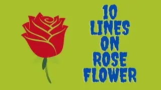 10 Lines on Rose Flower/Short Essay on Rose Flower in English//Few Lines on My Favorite Flower
