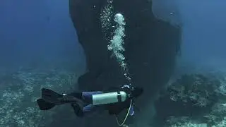 🇲🇽Buceo en Cozumel: Barco Hundido C-53. 🇺🇸 Wreck Diving in Cozumel: Explore the C-53 Shipwreck.