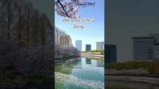 The Best Time To Visit Osaka Castle #explorejapan  #cherryblossomseason #sakura  #springtime#fyp