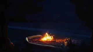 BONFIRE | #CampfireNights#BonfireBliss#FirelightFun#CozyCampfire#UnderTheStars#CampfireStories