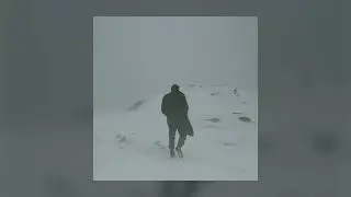 Vibera - ВОЛК