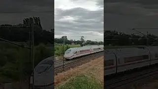Siemens Velaro D, Riedbahn